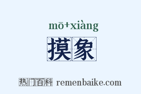 摸象是什么意思的图片